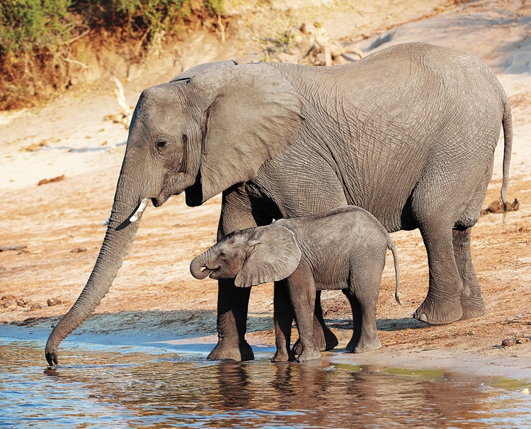 Lake-Manyara-National-Park